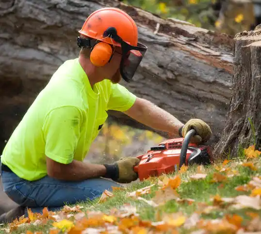 tree services Hagerstown